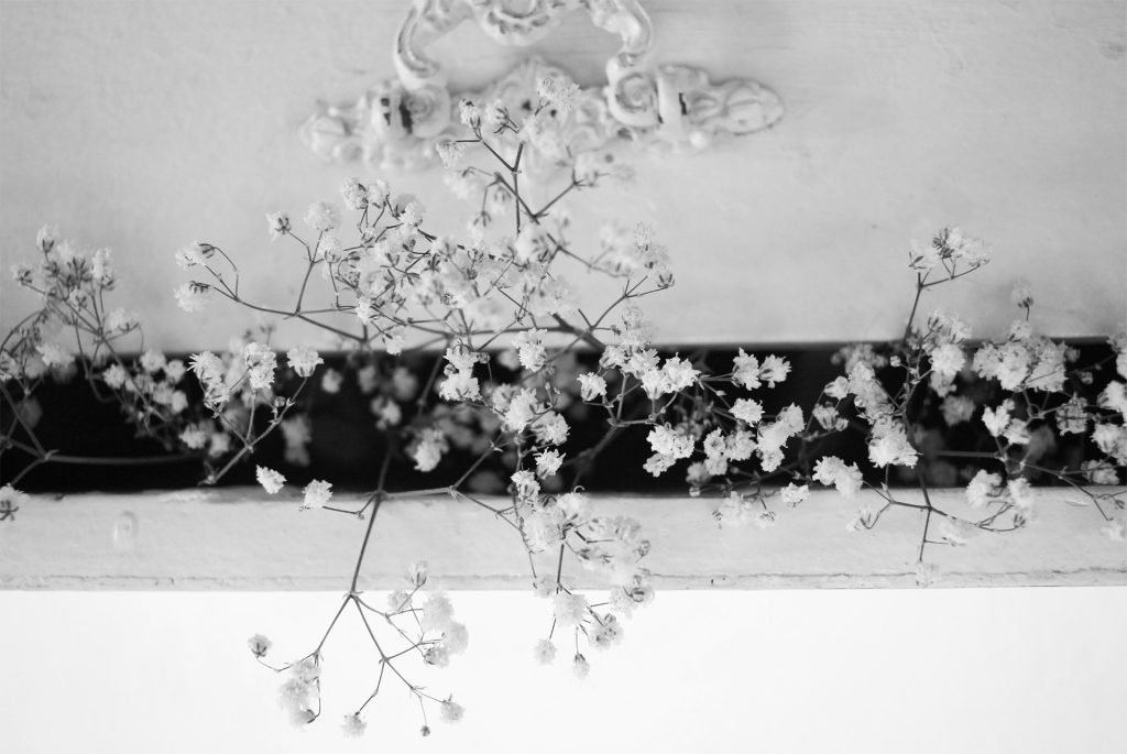 Weisse Blüten in schwarz-weiss an einer Mauer